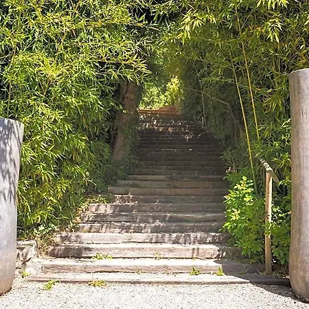 Le Belvedere Chame